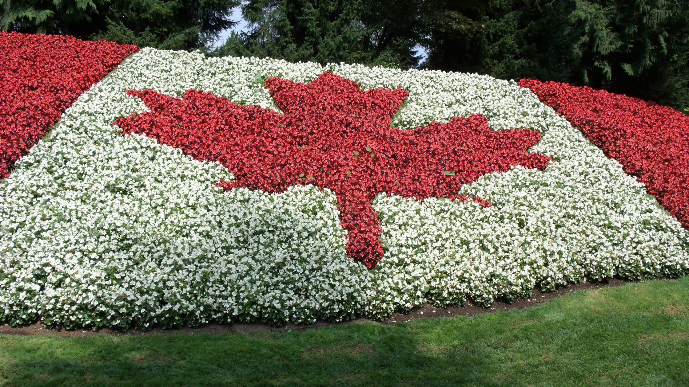 Applying for Canadian PR Without a Lawyer from Nigeria in 8 Steps